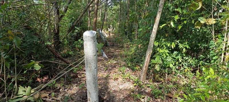 Poste de concreto para delimitación del derecho de vía · Tren Maya